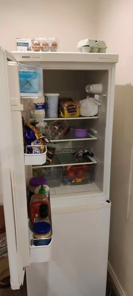 Photo of free Bosch Fridge Freezer in good condition (Witham CM8) #1