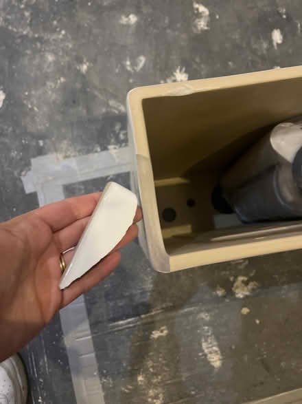 Photo of free Arezzo rimless CC cistern (SW11) #2