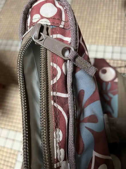 Photo of free Insulated bag (Midtown Sacramento) #3