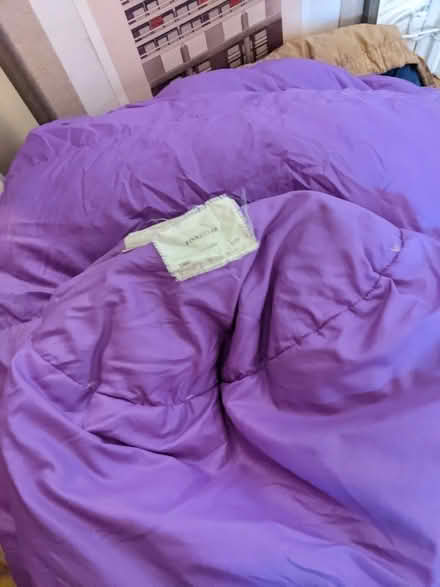 Photo of free Down sleeping bag (vintage) (Kentish Town NW5) #1