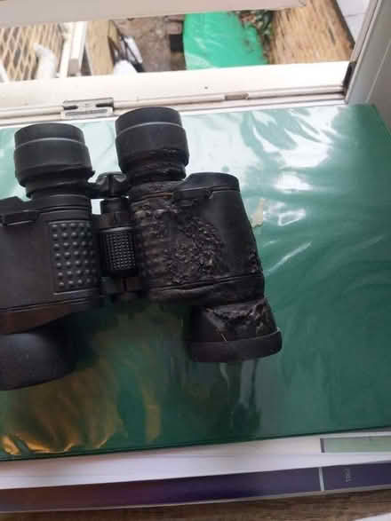 Photo of free 8x40 binoculars (Kentish Town NW5) #1