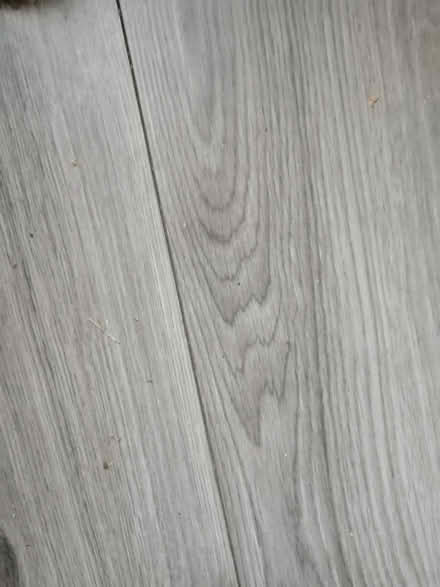 Photo of free Laminate flooring (Allestree DE22) #1