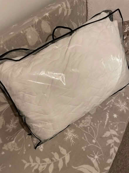 Photo of free Two used pillows from M&S (Bath, Oldfield) #1