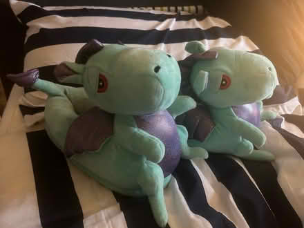 Photo of free Novelty adult dragon slippers (Aldershot) #1