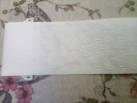 Photo of free Blinds2go Vertical blind strips (Saltash PL12) #1