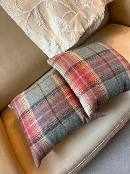 Photo of free 2 cushions (Blewbury) #1