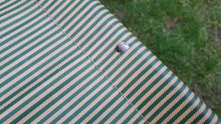 Photo of free Garden chair (East Didsbury M20) #2