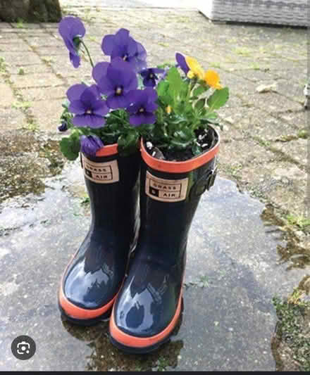 Photo of free Wellington Boots ONLY for Planters (HA3 Harrow) #1