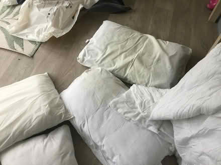 Photo of free 6 pillows and 2 double duvets (SO32 Swanmore) #2