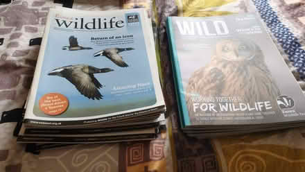 Photo of free WildlifeMagazines (Braintree CM7) #1