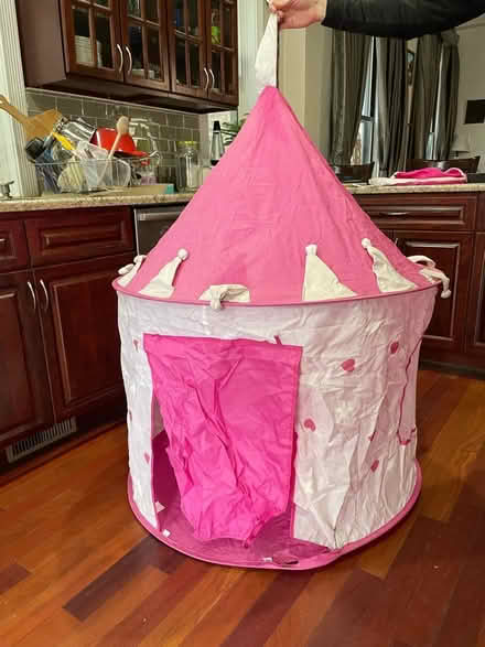 Photo of free Princess Tent (Bronzeville) #1
