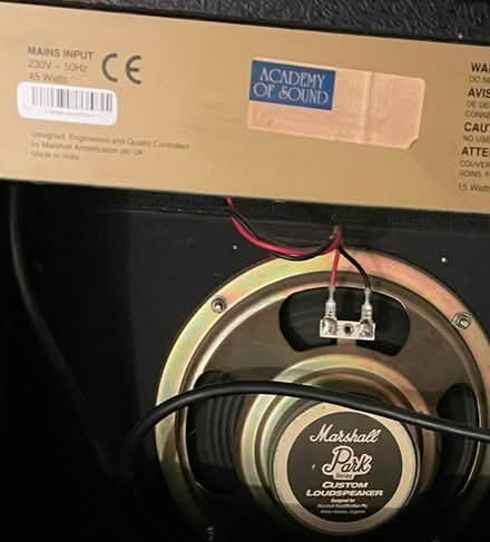 Photo of free Practice Amp for music instruments (SW9 Oval) #3