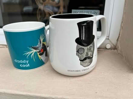 Photo of free Mugs (BS5) #1