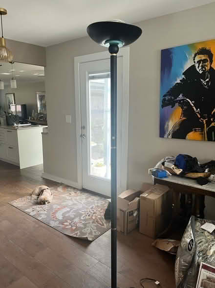 Photo of free Floor lamp (Leisure World 20906) #2