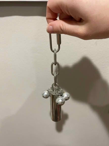 Photo of free Bird bell (Oregon) #1