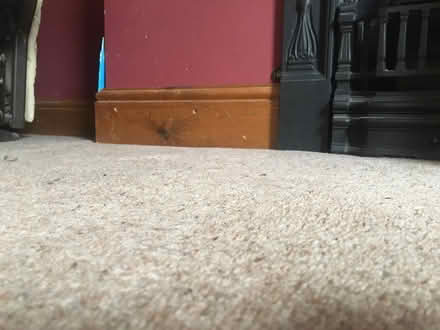 Photo of free Wool blend carpet good condition (Greenfield OL3) #2
