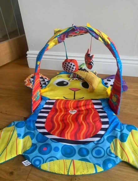 Photo of free Baby play mat/gym (Woodley RG5) #1