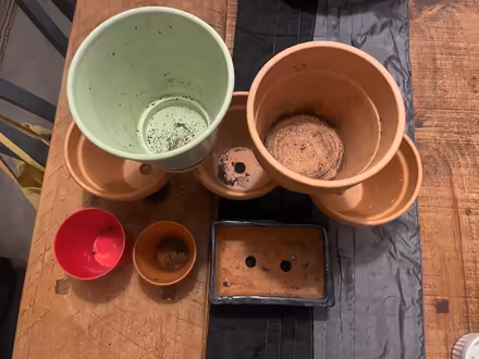 Photo of free 8 x plant pots indoor/outdoor (PO3 baffins Portsmouth) #4