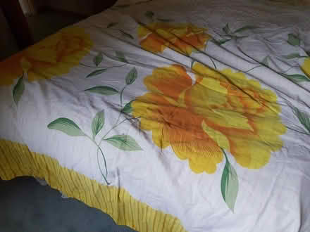 Photo of free Double duvet cover and pillow cases (Saint Clements WR2) #1