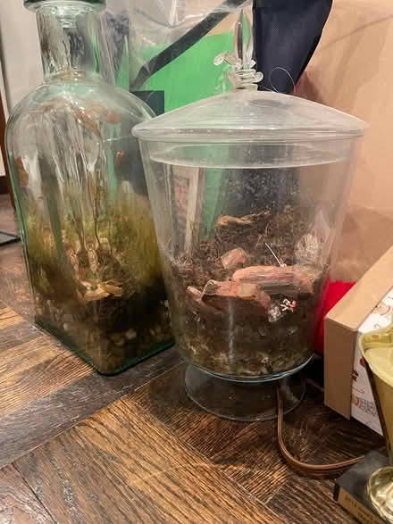 Photo of free Glass vessels (Park slope Brooklyn 11215) #3