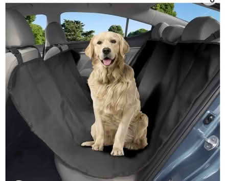 Photo of free Dog car seat cover (St Arvans. Chepstow) #1