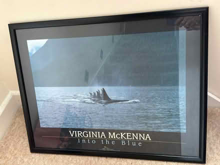 Photo of free Large framed orca photo print (Segensworth East PO15) #1