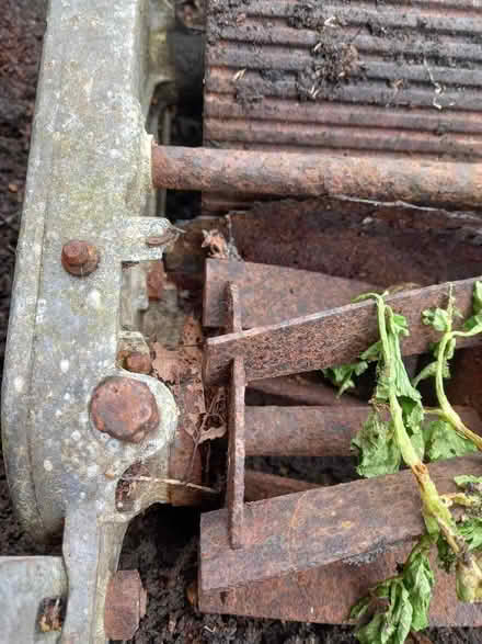 Photo of free Period manual lawnmower I think (Haymarket EH11) #3