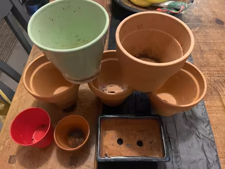 Photo of free 8 x plant pots indoor/outdoor (PO3 baffins Portsmouth) #3