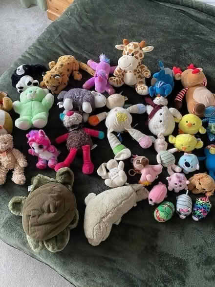 Photo of free Bundle of children's soft toys (Pokesdown BH6) #1
