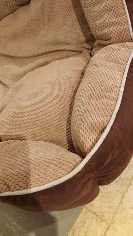 Photo of free Dog bed (St Arvans. Chepstow) #2