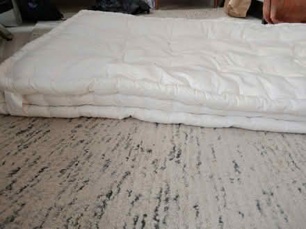 Photo of free Single Mattress vgc (Tottenham N17) #1