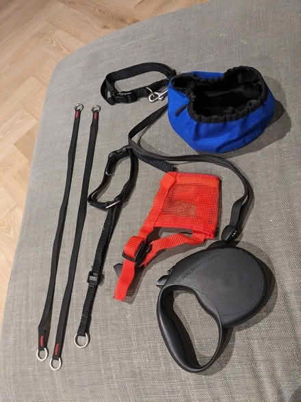 Photo of free Dog gear (Dublin 14) #1