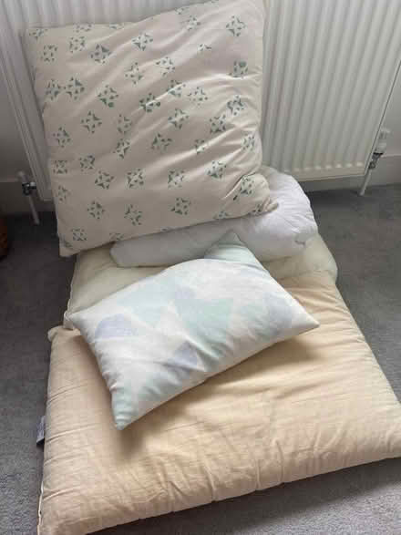 Photo of free Sofa Cushions and pillows (New Marston OX3) #3