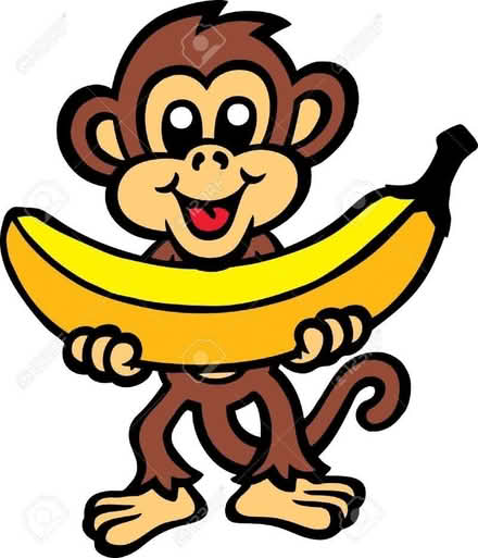 Photo of anything monkey related (Roche PL26) #1