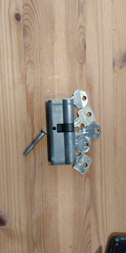 Photo of free Euro lock cylinder Lock (Summerlands LA8) #1