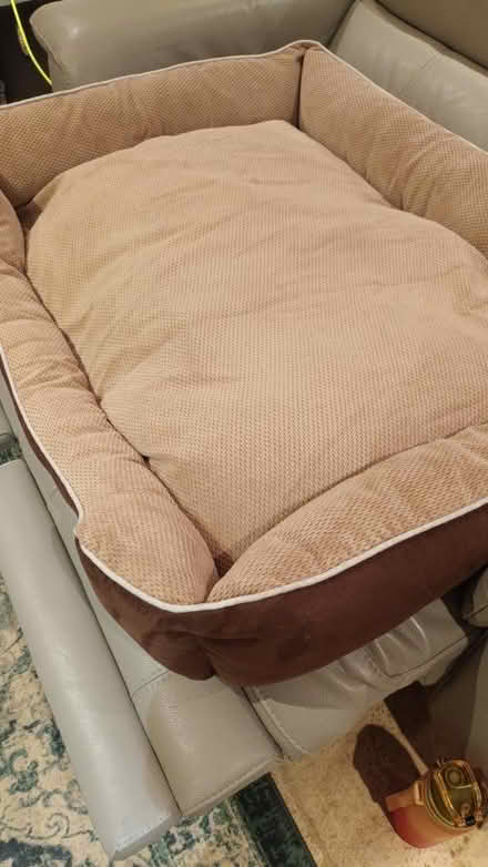 Photo of free Dog bed (St Arvans. Chepstow) #1