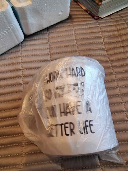 Photo of free Cat mug brand new (DY6) #1