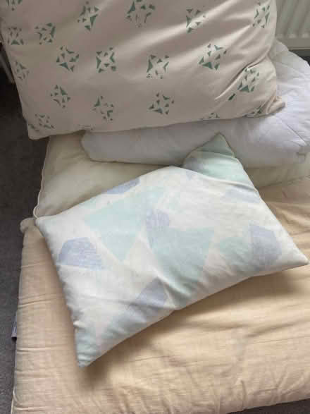 Photo of free Sofa Cushions and pillows (New Marston OX3) #1
