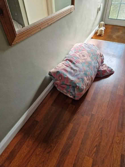 Photo of free Feather Duvet (Saltdean BN2) #1