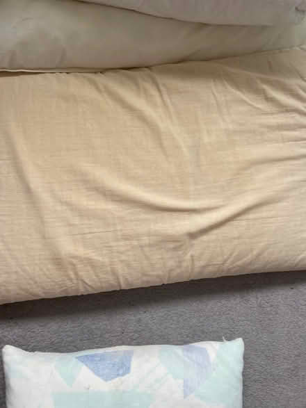 Photo of free Sofa Cushions and pillows (New Marston OX3) #4