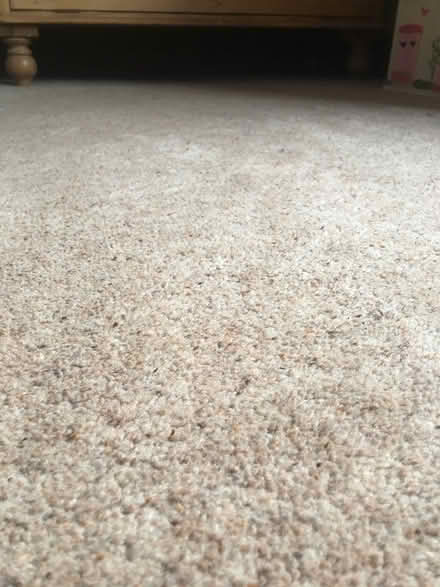 Photo of free Wool blend carpet good condition (Greenfield OL3) #1