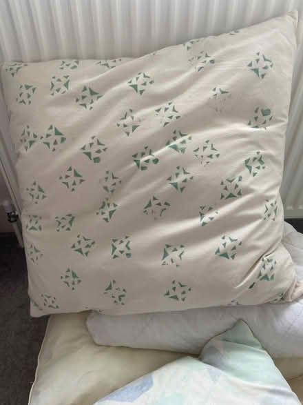 Photo of free Sofa Cushions and pillows (New Marston OX3) #2