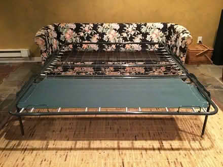 Photo of free Sleeper sofa and Loveseat (west bloomfield) #1