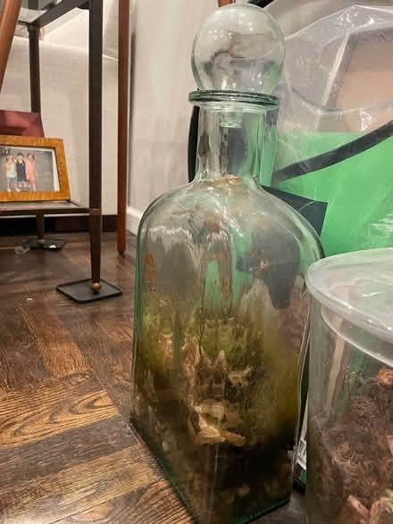 Photo of free Glass vessels (Park slope Brooklyn 11215) #2