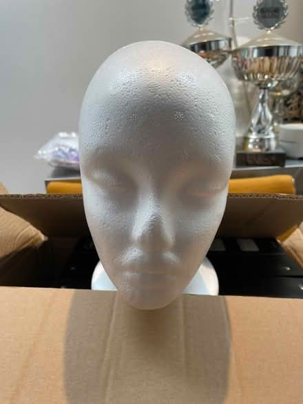 Photo of free Polystyrene model head (Dereham Rd area NR2) #1
