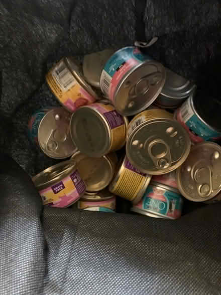 Photo of free Very Expired Kitten Wet Food (South Denton) #1