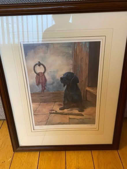 Photo of free Lovely picture (Balgowan DD3) #1