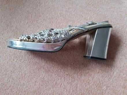 Photo of free " Silver" shoes (Oxon SY3) #1