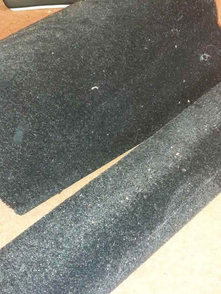 Photo of free Black glitter carpet offcut (Stenalees) #1