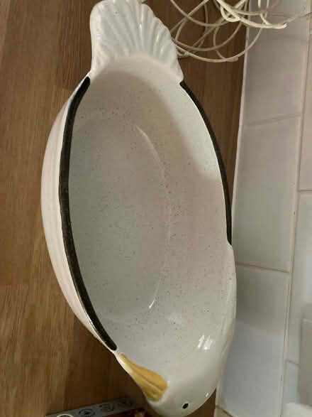 Photo of free Goose casserole dish (Fry’s Hill OX4) #1